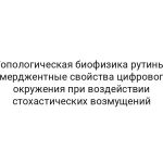 Топологическая биофизика рутины: эмерджентные свойства цифрового окружения при воздействии стохастических возмущений